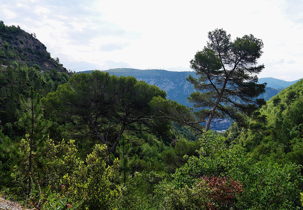 Adoucisseur d'eau Alpes-Maritimes