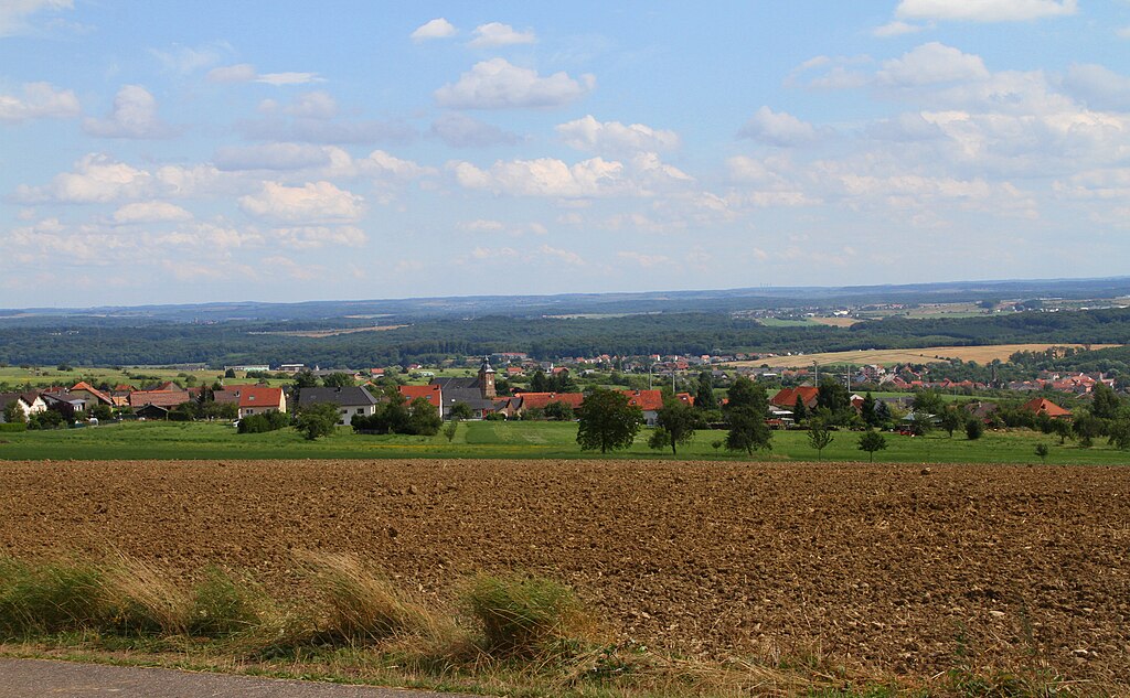 Adoucisseur d'eau Moselle