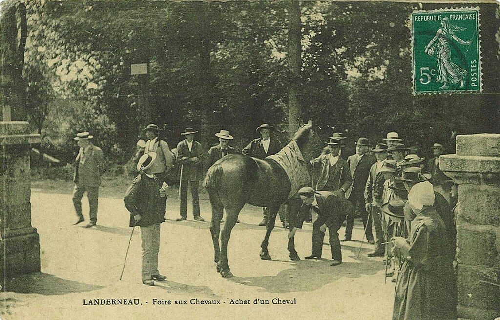 Adoucisseur d'eau Landerneau