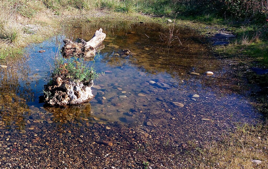 Adoucisseur d'eau Wittenheim