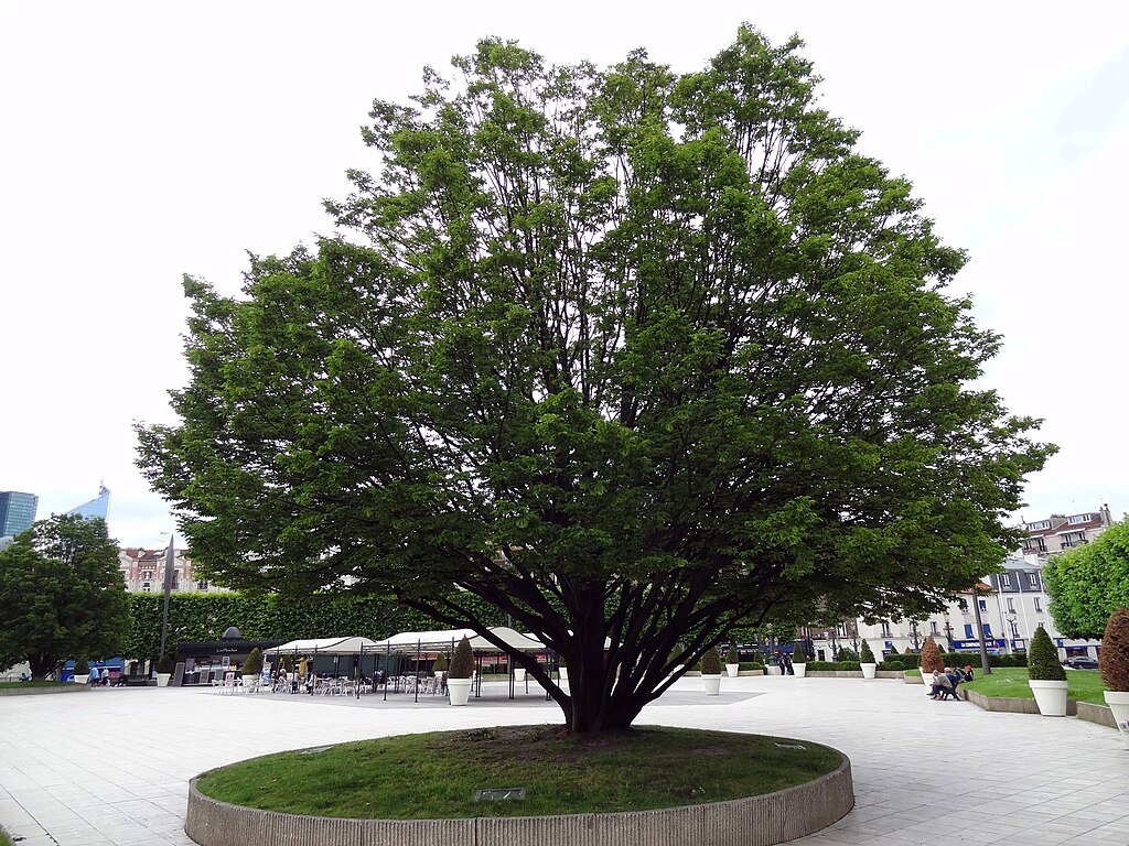 Adoucisseur d'eau Puteaux