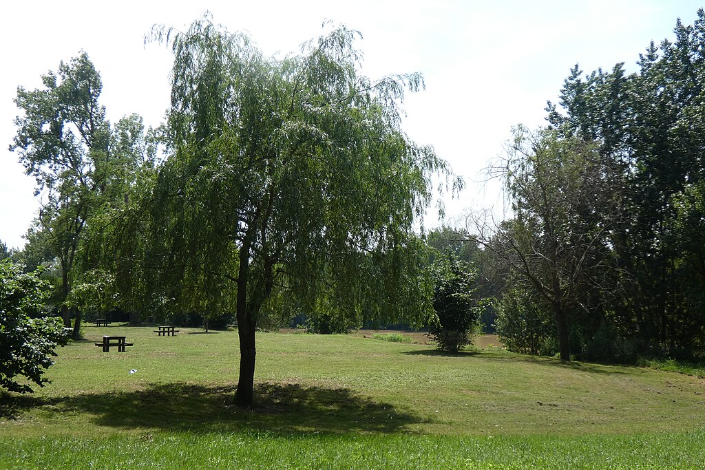 Adoucisseur d'eau Marmande