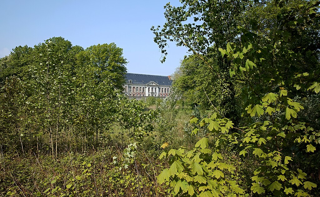 Adoucisseur d'eau Loos
