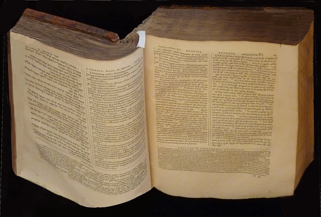 Adoucisseur d'eau Valenciennes